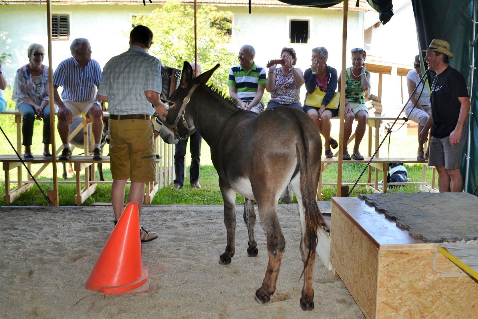 Eselhof Berndlgut - Unser Angebot
